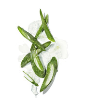 Load image into Gallery viewer, Mekabu Hydrating Conditioner
