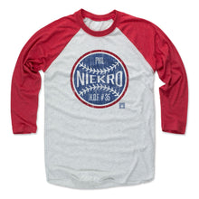Load image into Gallery viewer, Phil Niekro Ball B
