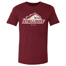 Load image into Gallery viewer, Birmingham Stallions Primary Logo WHT
