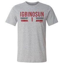 Load image into Gallery viewer, Davison Igbinosun College Font
