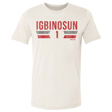 Load image into Gallery viewer, Davison Igbinosun College Font
