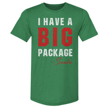 Load image into Gallery viewer, Christmas Big Package WHT

