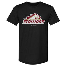 Load image into Gallery viewer, Birmingham Stallions Primary Logo WHT
