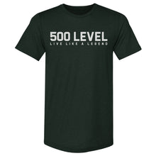 Load image into Gallery viewer, 500 LEVEL Wordmark WHT
