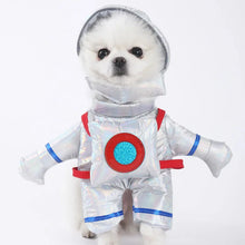 Load image into Gallery viewer, 1PCS Halloween Dagger Pet Transformation Dress Festival Funny Knife Holding Dog Clothes Cat Standing Dress Pet Dress Up
