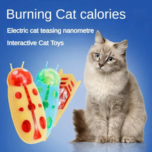 Load image into Gallery viewer, Interactive Mini Electric Bug Cat Toy – Battery Operated Flip Beetle
