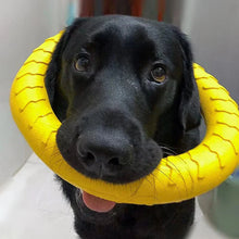 Load image into Gallery viewer, Durable Dog Ring Toy – Indestructible Flying &amp; Chewing Training Toy
