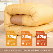 Load image into Gallery viewer, BSWOLF 2 Person Camping Sleeping Bag Four Seasons Portable Winter Sleeping Bag for Outdoor Camp Travel Hiking

