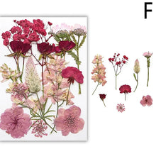 Load image into Gallery viewer, For Fun DIY Embossed Dried Flower Resin Fillings Real Flower for Home Decoration Nail Art Handicrafts Jewelry Making Crafts
