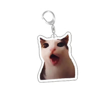Load image into Gallery viewer, Funny Cat Memes Series Keychain Student Gift Bag Lanyard  Women's Bag Pendant Keychain Cute Things Cheap Gift For Best Friends

