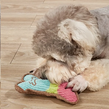Load image into Gallery viewer, Dog Squeaky Toy - Plush Bone Chew Toy for Small &amp; Medium Puppies
