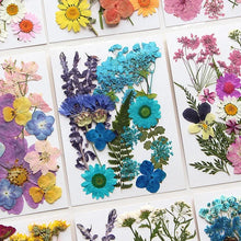 Load image into Gallery viewer, For Fun DIY Embossed Dried Flower Resin Fillings Real Flower for Home Decoration Nail Art Handicrafts Jewelry Making Crafts

