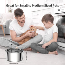 Load image into Gallery viewer, Stainless Steel Pet Water Fountain – USB Automatic Cat &amp; Dog Bowl
