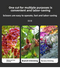 Load image into Gallery viewer, 190mm Straight Head Pruning Shears Non-slip HandleStainless Steel Outils Manuels Household Bonsai Garden Scissors Pruing Shear
