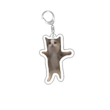 Load image into Gallery viewer, Funny Cat Memes Series Keychain Student Gift Bag Lanyard  Women's Bag Pendant Keychain Cute Things Cheap Gift For Best Friends
