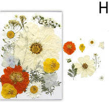 Load image into Gallery viewer, For Fun DIY Embossed Dried Flower Resin Fillings Real Flower for Home Decoration Nail Art Handicrafts Jewelry Making Crafts
