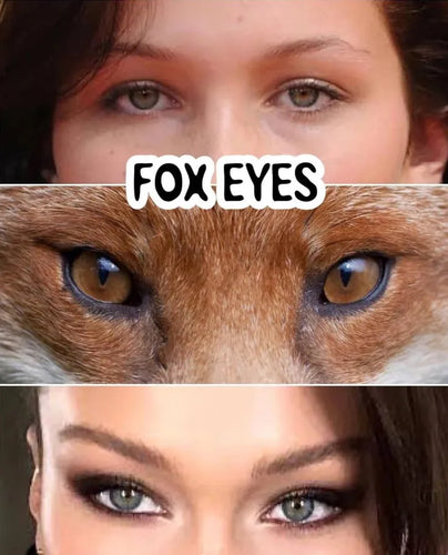 43953593614566|43953593647334|43953593680102|43953593712870|43953593745638|43953593778406|43953593811174|43953593843942|43953593876710|43953593909478|43953593942246|43953593975014|43953594007782|43953594040550|43953594073318|43953594106086|43953594138854|43953594171622|43953594204390|43953594237158|43953594269926|43953594302694|43953594335462|43953594368230