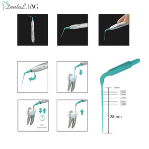 Dental Air Scaler Handpiece Activation Irrigation Perio Scaling Tip With 3Pcs Tooth Cleaner 2/4 Holes