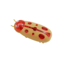 Load image into Gallery viewer, Interactive Mini Electric Bug Cat Toy – Battery Operated Flip Beetle
