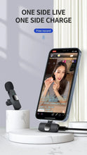 Load image into Gallery viewer, Basix Wireless Lavalier Microphone Audio Recording Mini Replaceable Windproof Wool Microphone for iPhone16 Shoot vlog YouTube
