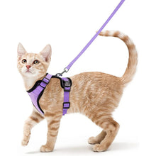Load image into Gallery viewer, Cat Harness and Leash – Soft Adjustable Escape-Proof Vest for Walking Cats

