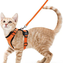 Load image into Gallery viewer, Cat Harness and Leash – Soft Adjustable Escape-Proof Vest for Walking Cats
