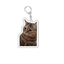 Load image into Gallery viewer, Funny Cat Memes Series Keychain Student Gift Bag Lanyard  Women's Bag Pendant Keychain Cute Things Cheap Gift For Best Friends
