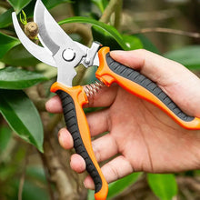 Load image into Gallery viewer, 190mm Straight Head Pruning Shears Non-slip HandleStainless Steel Outils Manuels Household Bonsai Garden Scissors Pruing Shear

