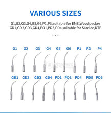 Load image into Gallery viewer, 1Pack Dental Scaler Tips Piezo Accessories  G1 G2 G3 G4 G5 G6 P1 P3 P4 GD1 GD2 GD3 GD4 PD1 PD3 for EMS Woodpecker DTE Satelec
