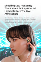 Load image into Gallery viewer, KZ EDX pro In-ear type Earphones Stereo DJ Hi-Fi Bass HIFI Microphone Earplugs Cable speakers reduce noise and detachable cables
