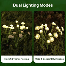 Load image into Gallery viewer, 6LED Solar Jellyfish Mushroom Lights – LED Garden &amp; Lawn Solar Plug Lights
