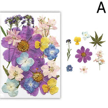 Load image into Gallery viewer, For Fun DIY Embossed Dried Flower Resin Fillings Real Flower for Home Decoration Nail Art Handicrafts Jewelry Making Crafts
