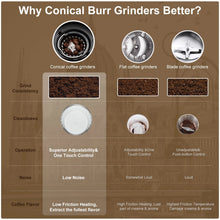 Load image into Gallery viewer, BioloMix Automatic Burr Mill Electric Coffee Grinder with 30 Gears for Espresso American Coffee Pour Over Visual Bean Storage
