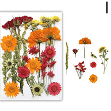 Load image into Gallery viewer, For Fun DIY Embossed Dried Flower Resin Fillings Real Flower for Home Decoration Nail Art Handicrafts Jewelry Making Crafts
