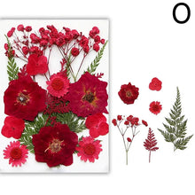 Load image into Gallery viewer, For Fun DIY Embossed Dried Flower Resin Fillings Real Flower for Home Decoration Nail Art Handicrafts Jewelry Making Crafts
