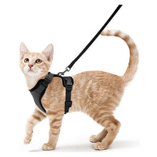 Load image into Gallery viewer, Cat Harness and Leash – Soft Adjustable Escape-Proof Vest for Walking Cats
