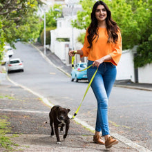 Load image into Gallery viewer, Adjustable Dog Choke Collar Training Chain

