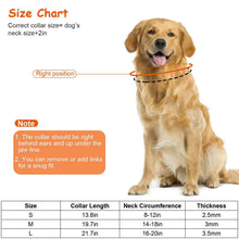 Load image into Gallery viewer, Adjustable Dog Choke Collar Training Chain
