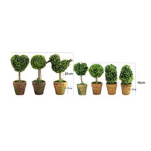 Load image into Gallery viewer, Artificial 1 Pc Heart Star Round Potted Decor  Bonsai  Ornament Home Garden Wedding Party Decor Home Decoration
