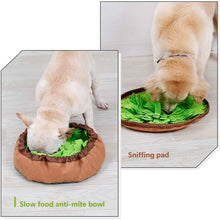 Load image into Gallery viewer, AWOOF Pet Snuffle Mat for Dogs
