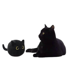 Load image into Gallery viewer, Black Cat Plush Toy
