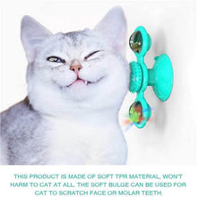 Load image into Gallery viewer, Cat Teases Interactive Pet Toy
