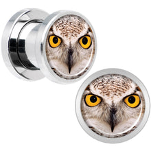 Load image into Gallery viewer, Full Color Owl Steel Screw Fit Plug Set 0G
