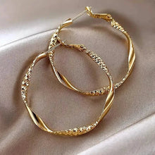 Load image into Gallery viewer, Delicate Silky Texture Design Women's Earrings
