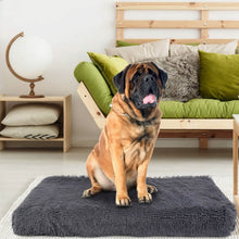 Load image into Gallery viewer, Dog Bed Soft Plush Cushion Cozy Warm Pet Crate Mat Dog Carpet
