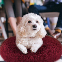 Load image into Gallery viewer, Dog Cozy Nest Sofa Bed Cushion
