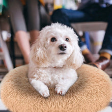 Load image into Gallery viewer, Dog Cozy Nest Sofa Bed Cushion
