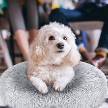 Load image into Gallery viewer, Dog Cozy Nest Sofa Bed Cushion
