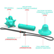Load image into Gallery viewer, Dog Toys Silicon Suction Cup
