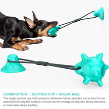 Load image into Gallery viewer, Dog Toys Silicon Suction Cup
